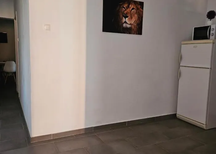 公寓 Aurelia Apartments,