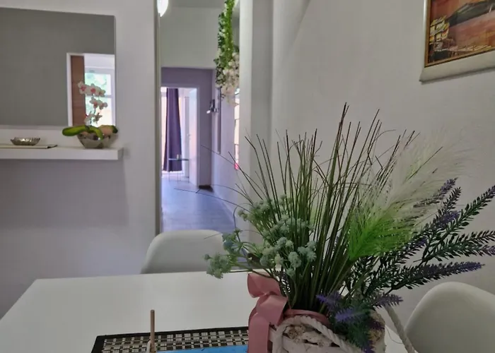 Aurelia Apartments, 아파트 *